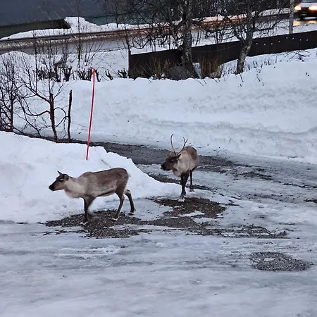 Comfy And Cozy شقة