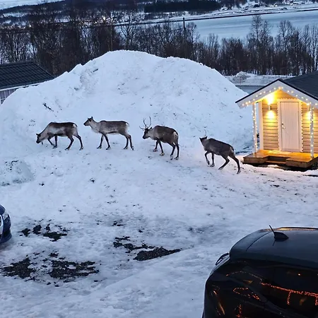 شقة Comfy And Cozy