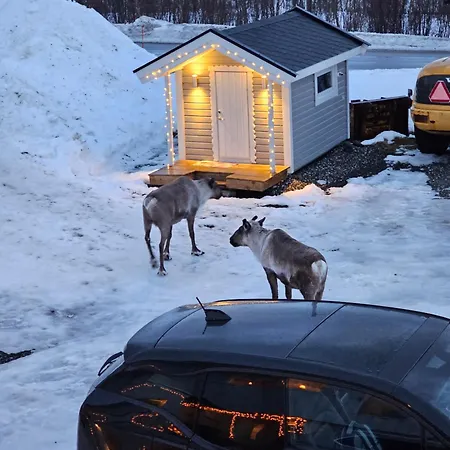 Comfy And Cozy شقة *