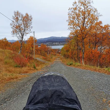 Comfy And Cozy 아파트 *